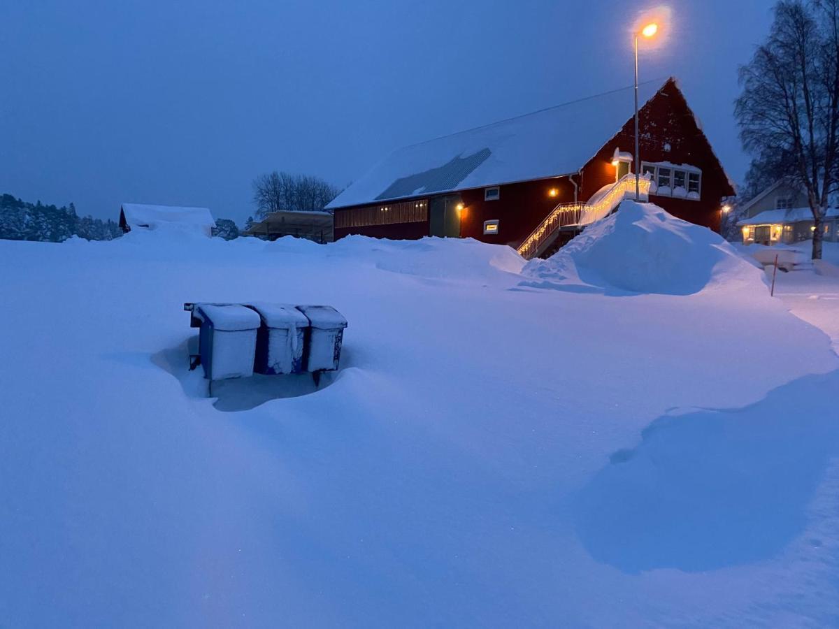 Newly Built Apartment Next Door To The Sheep Norrfjarden Esterno foto
