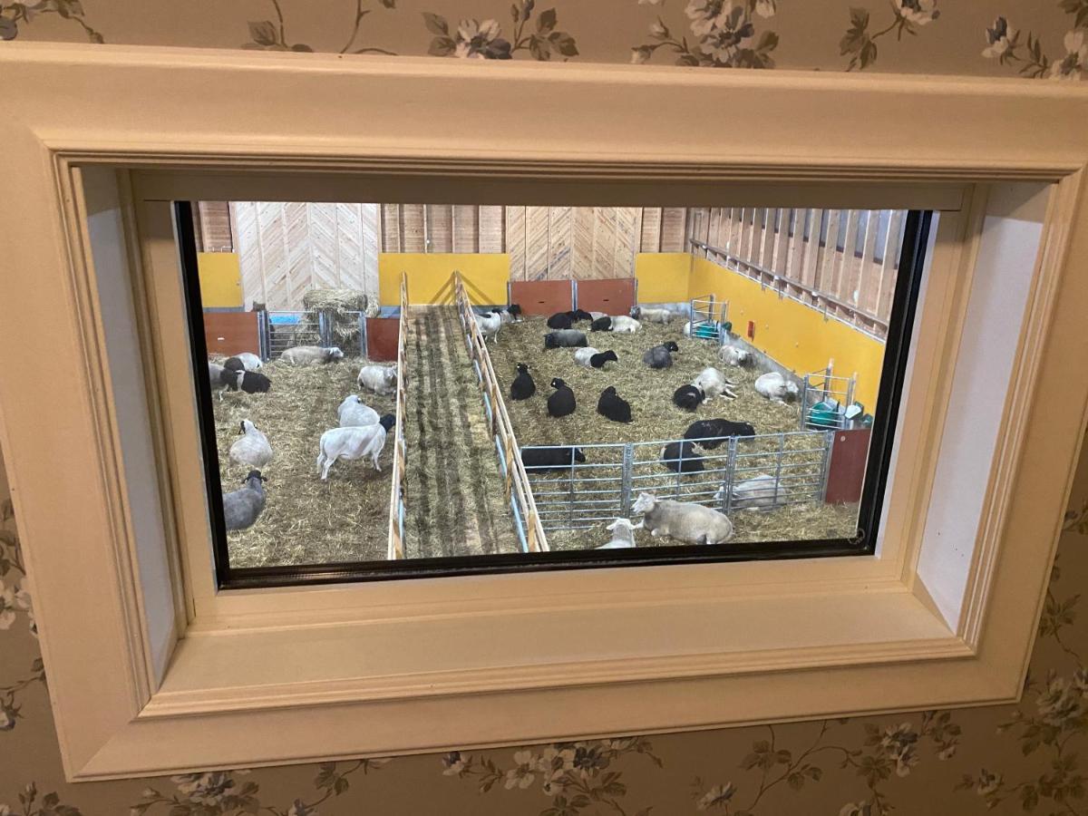 Newly Built Apartment Next Door To The Sheep Norrfjarden Esterno foto