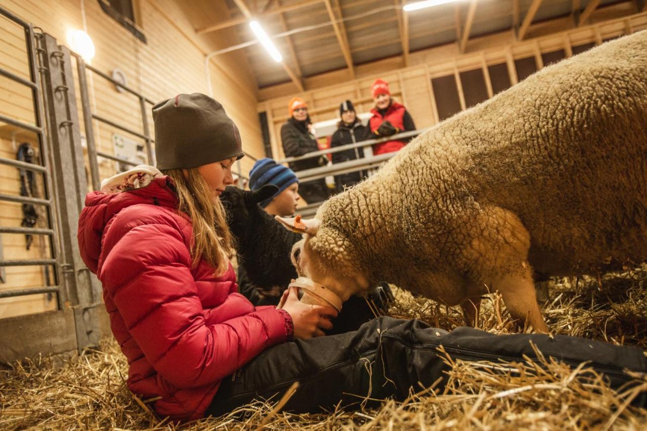 Newly Built Apartment Next Door To The Sheep Norrfjarden Esterno foto