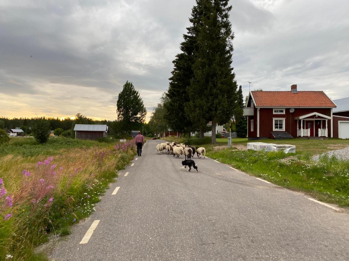 Newly Built Apartment Next Door To The Sheep Norrfjarden Esterno foto